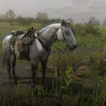 Maybe-a-Percheron2