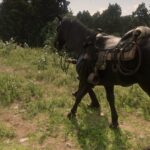 Maybe-a-Percheron4