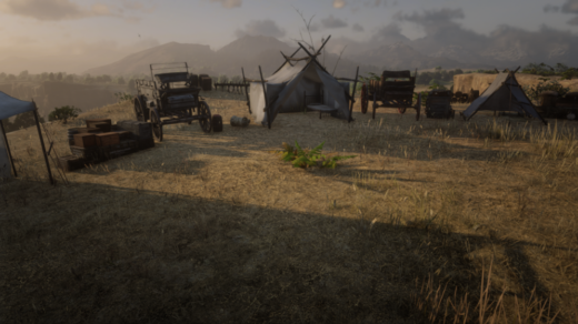 Mexico-Camp