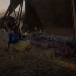 Mexico-Camp2