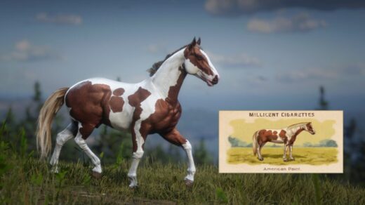 Millicent-Cigarettes-Horses-1024x576-1