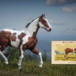 Millicent-Cigarettes-Horses