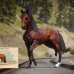 Millicent-Cigarettes-Horses3