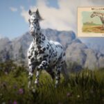 Millicent-Cigarettes-Horses4