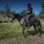 Mule2