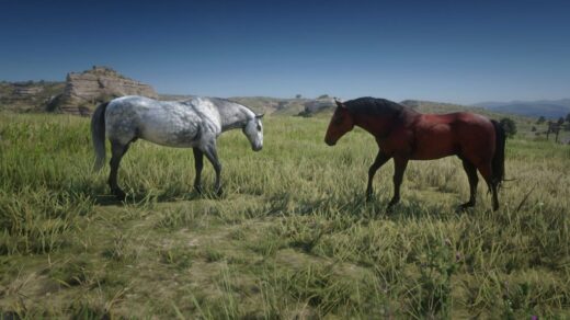 Mustangs-1024x576-1