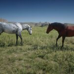 Mustangs