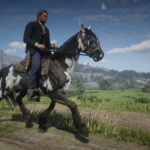 Mustangs2
