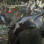 My-Last-Boy-Horse-Error-Fix3