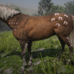 Native-American-Horses2