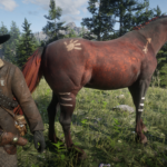 Native-American-Horses3