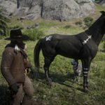 Native-American-Horses4
