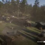 New-Chapter-2-Camp4
