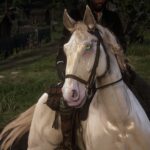 New-Eye-Colors-For-Horses