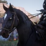 New-Eye-Colors-For-Horses2