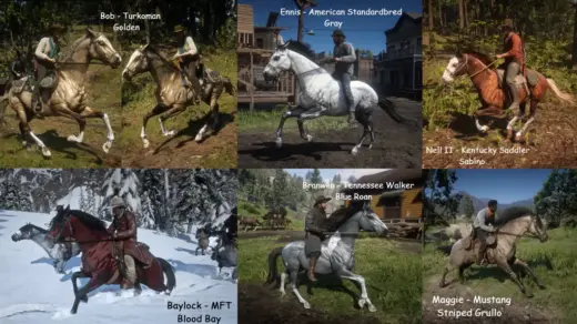 New-Gang-Horse-Coats-1024x573-1