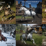 New-Gang-Horse-Coats