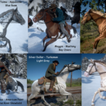 New-Gang-Horse-Coats3