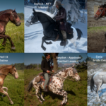 New-Gang-Horse-Coats4