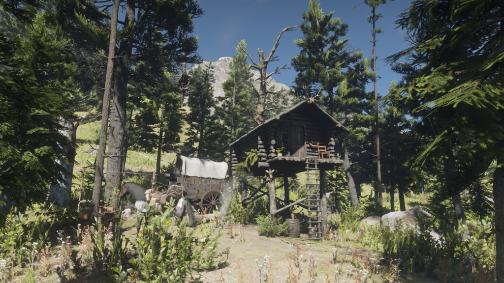 Arthur’s New Home