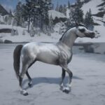 New-arabian-horse