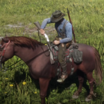 No-AUTO-Horse-Holstering2