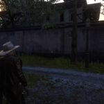 No-Inactive-Crosshair-And-Lvl-Up-Notifications