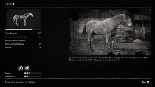 No-More-Horse-Breeds-1024x579-1