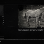 No-More-Horse-Breeds