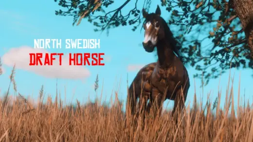North-Swedish-Draft-Horse-1024x576-1