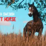 North-Swedish-Draft-Horse-scaled-1