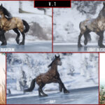 North-Swedish-Draft-Horse2-scaled-1