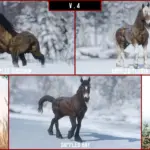 North-Swedish-Draft-Horse4-scaled-1
