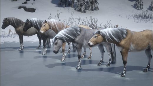 Norwegian-Fjord-Horse-Pack-1024x536-1