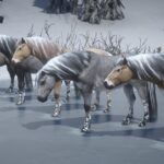 Norwegian-Fjord-Horse-Pack