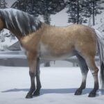 Norwegian-Fjord-Horse-Pack2
