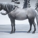 Norwegian-Fjord-Horse-Pack3