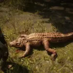 Online-Alligators-Unlocked-for-SP4