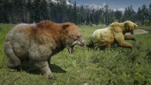 Online-Bears-Unlocked-for-SP-1024x576-1