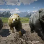 Online-Bears-Unlocked-for-SP2