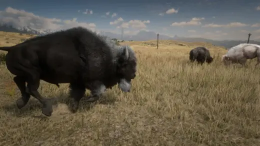 Online-Bison-Unlocked-for-SP-1024x576-1