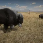 Online-Bison-Unlocked-for-SP