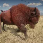 Online-Bison-Unlocked-for-SP6