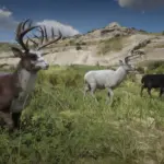Online-Bucks-Unlocked-for-SP