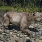 Online-Cougars-Unlocked-for-SP2