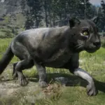 Online-Cougars-Unlocked-for-SP3