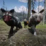 Online-Foxes-Unlocked-for-SP