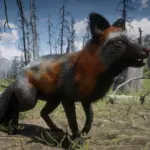 Online-Foxes-Unlocked-for-SP2