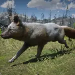 Online-Foxes-Unlocked-for-SP3