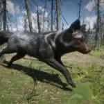 Online-Foxes-Unlocked-for-SP4